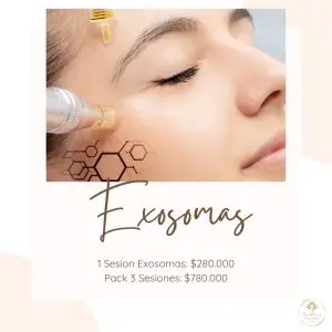 Exosomas